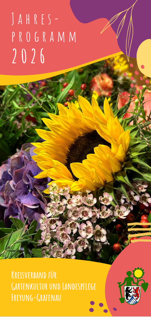 Programm_Vorderseite